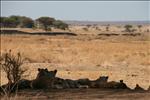 06 IMG_7234